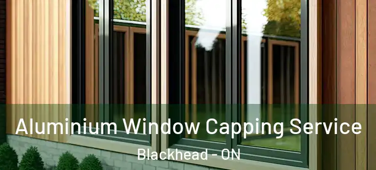 Aluminium Window Capping Service Blackhead - ON