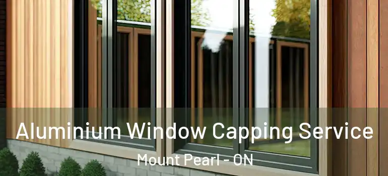 Aluminium Window Capping Service Mount Pearl - ON
