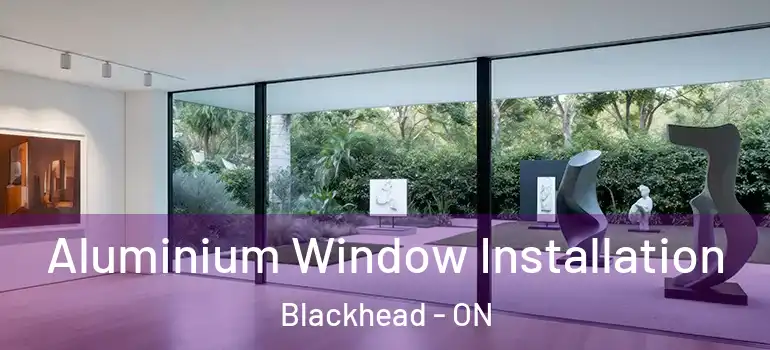 Aluminium Window Installation Blackhead - ON