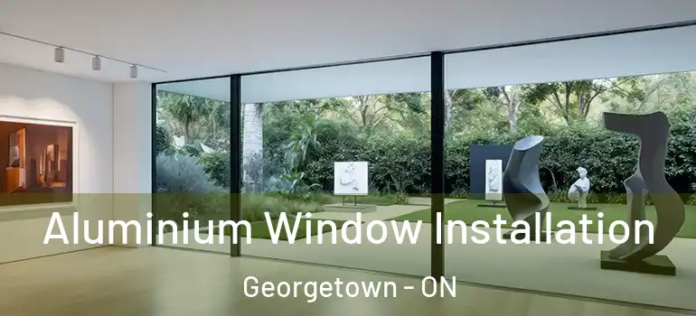 Aluminium Window Installation Georgetown - ON