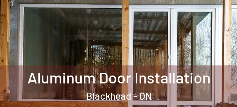 Aluminum Door Installation Blackhead - ON