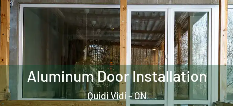 Aluminum Door Installation Quidi Vidi - ON