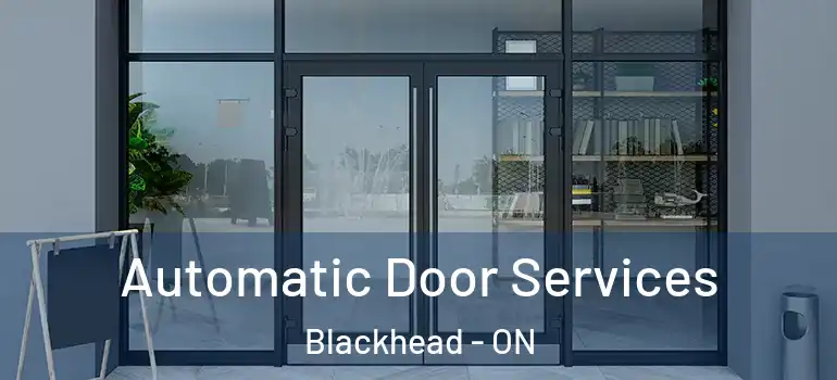 Automatic Door Services Blackhead - ON