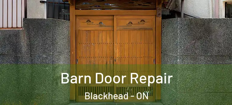 Barn Door Repair Blackhead - ON