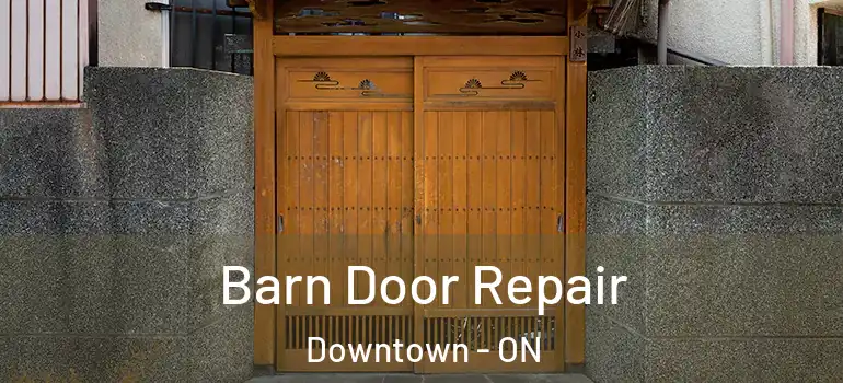 Barn Door Repair Downtown - ON