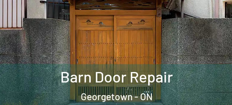 Barn Door Repair Georgetown - ON