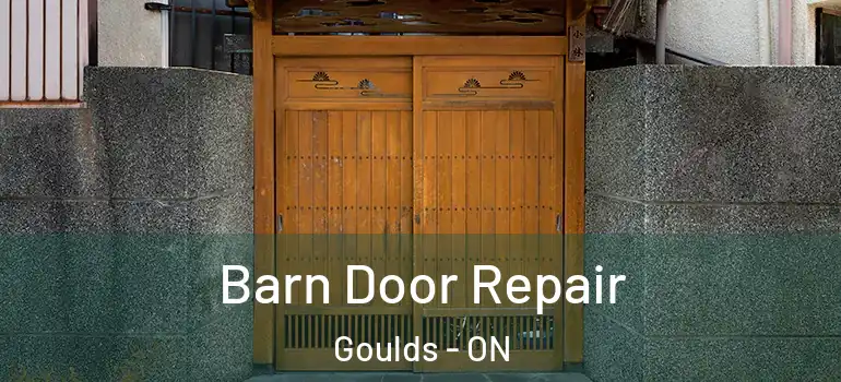 Barn Door Repair Goulds - ON