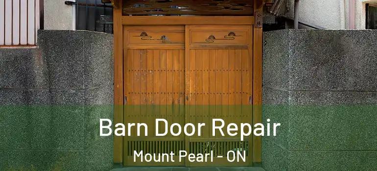 Barn Door Repair Mount Pearl - ON