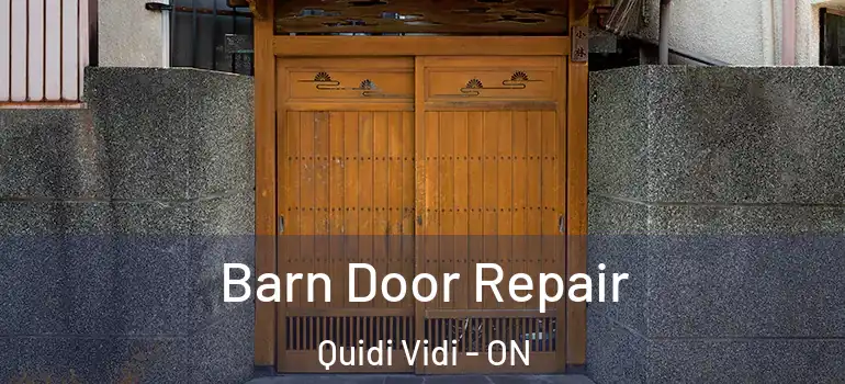 Barn Door Repair Quidi Vidi - ON