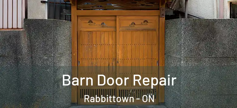 Barn Door Repair Rabbittown - ON