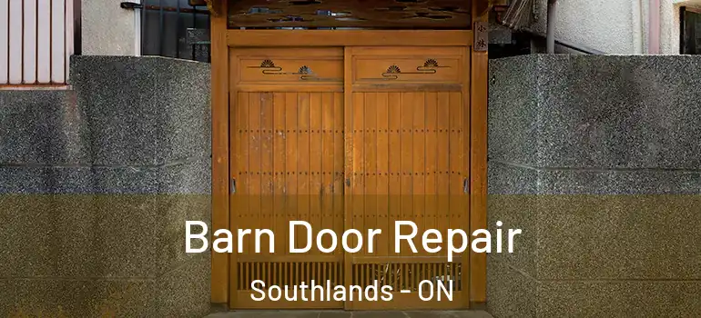 Barn Door Repair Southlands - ON