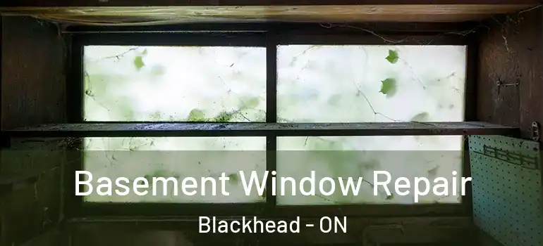 Basement Window Repair Blackhead - ON