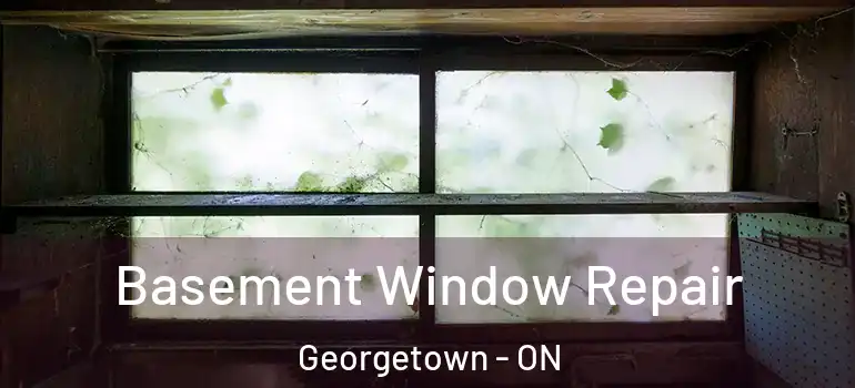 Basement Window Repair Georgetown - ON