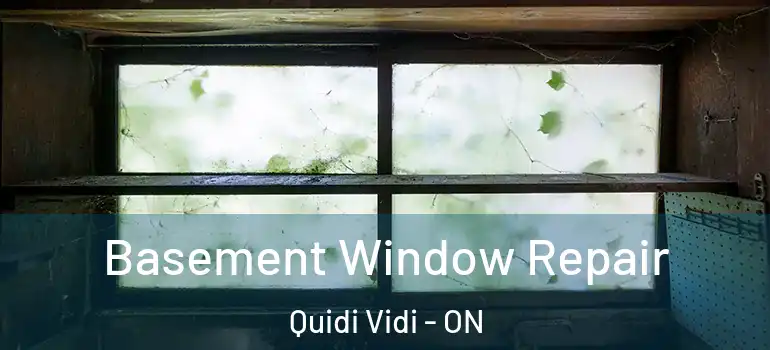 Basement Window Repair Quidi Vidi - ON
