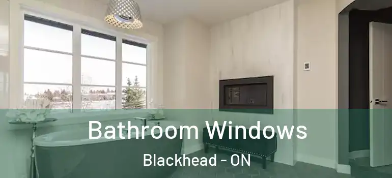 Bathroom Windows Blackhead - ON
