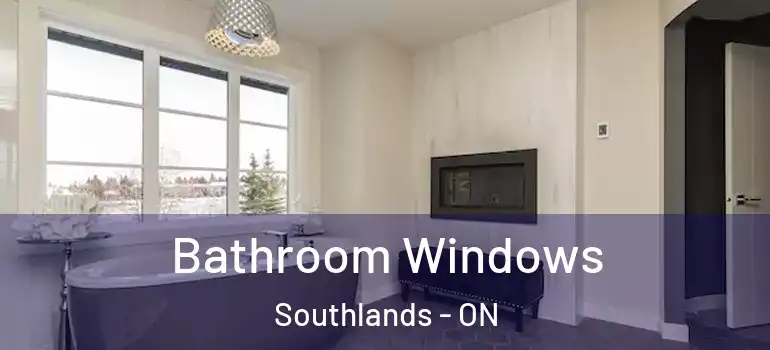  Bathroom Windows Southlands - ON