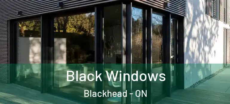 Black Windows Blackhead - ON