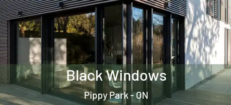 Black Windows Pippy Park - ON
