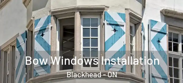 Bow Windows Installation Blackhead - ON
