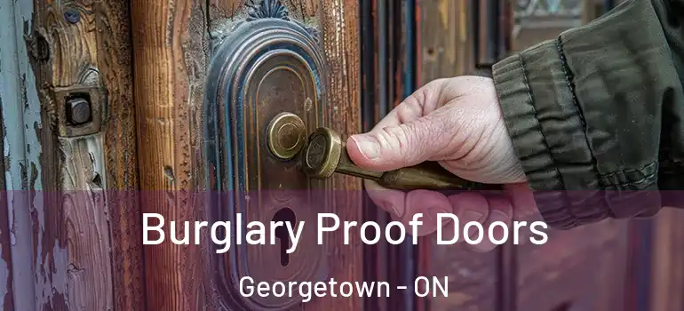 Burglary Proof Doors Georgetown - ON