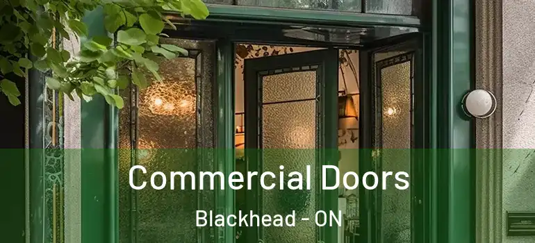 Commercial Doors Blackhead - ON