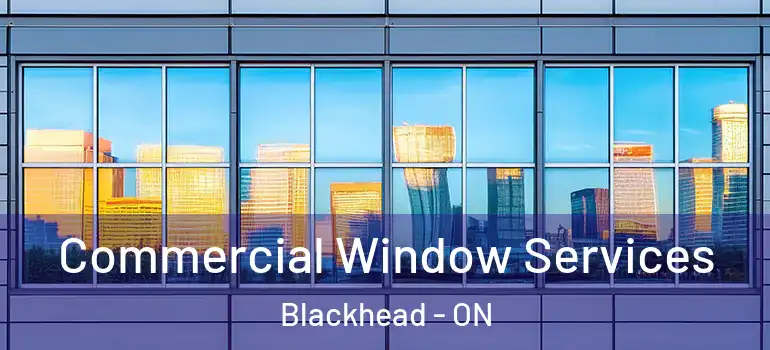  Commercial Window Services Blackhead - ON