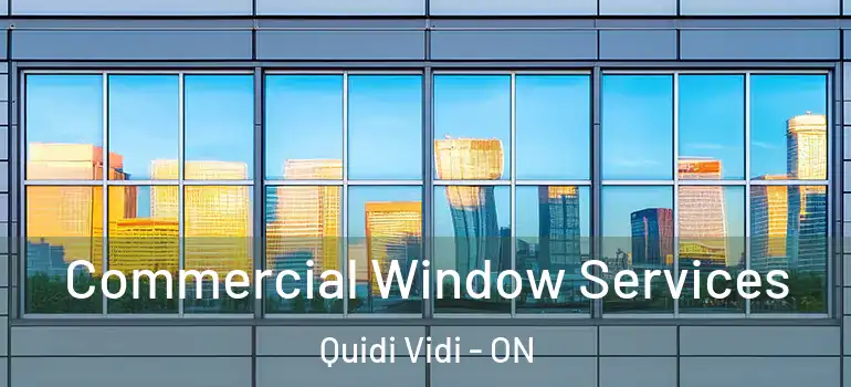 Commercial Window Services Quidi Vidi - ON