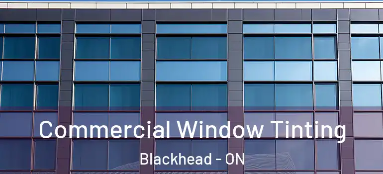 Commercial Window Tinting Blackhead - ON