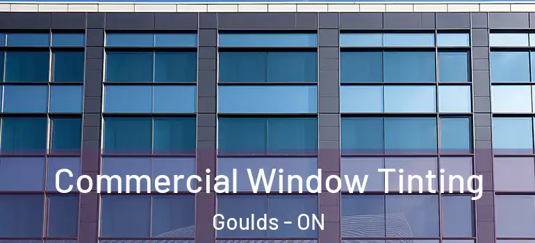 Commercial Window Tinting Goulds - ON