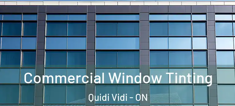 Commercial Window Tinting Quidi Vidi - ON