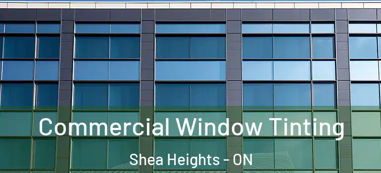  Commercial Window Tinting Shea Heights - ON
