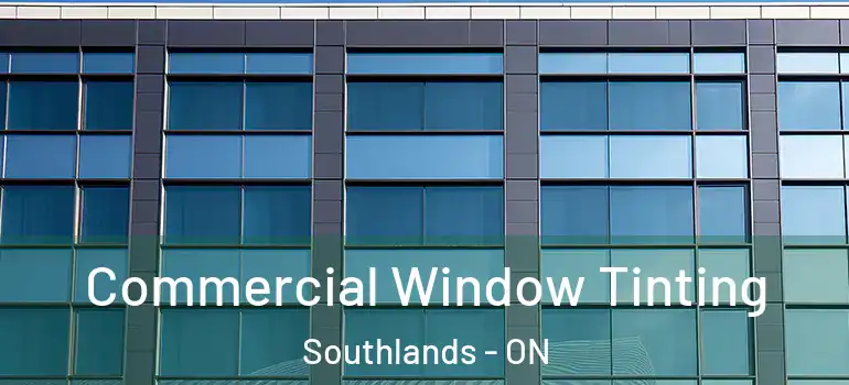  Commercial Window Tinting Southlands - ON