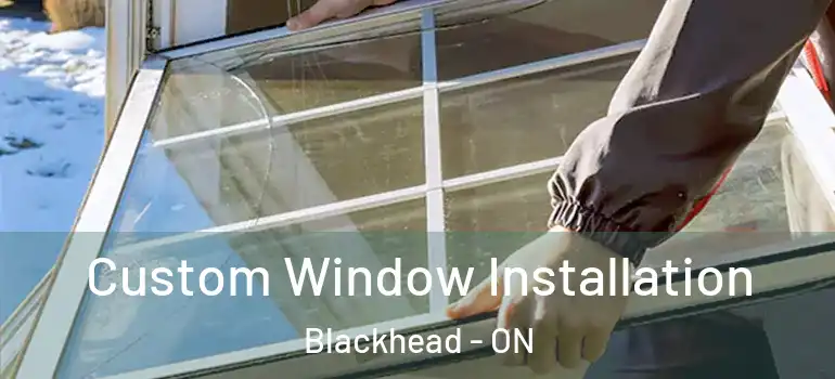  Custom Window Installation Blackhead - ON