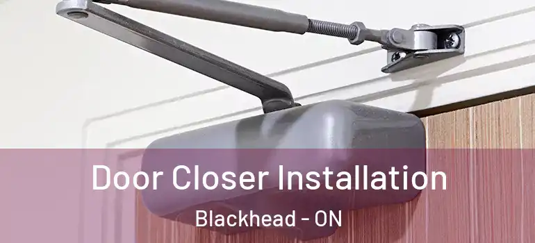 Door Closer Installation Blackhead - ON