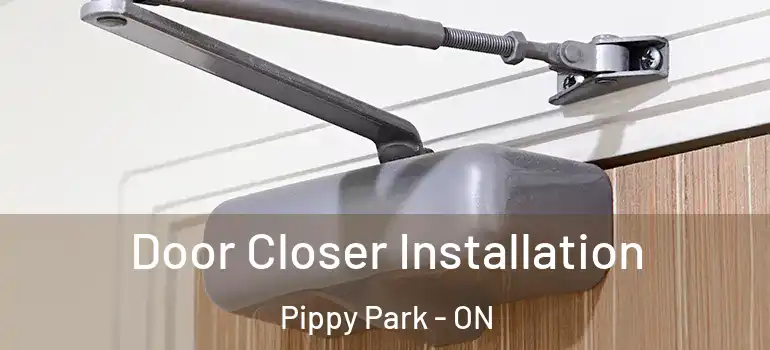 Door Closer Installation Pippy Park - ON