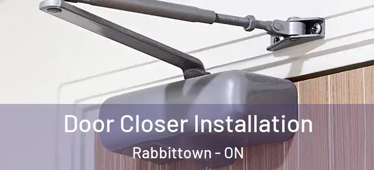 Door Closer Installation Rabbittown - ON