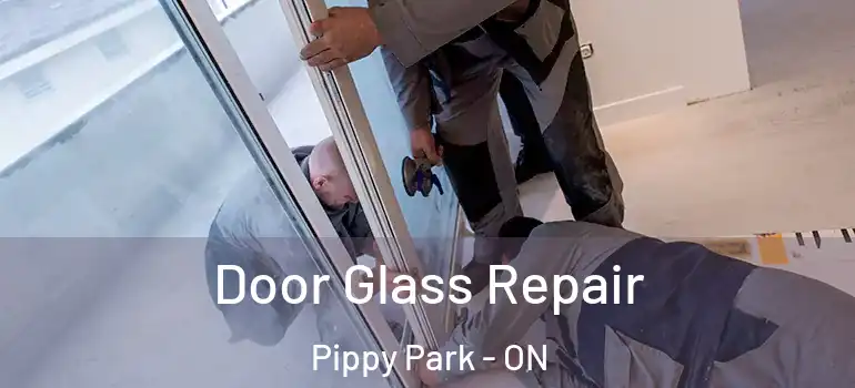 Door Glass Repair Pippy Park - ON