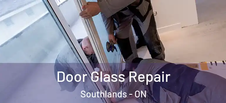 Door Glass Repair Southlands - ON