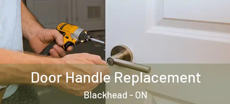 Door Handle Replacement Blackhead - ON