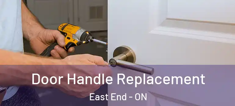  Door Handle Replacement East End - ON