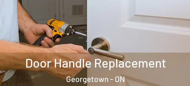  Door Handle Replacement Georgetown - ON