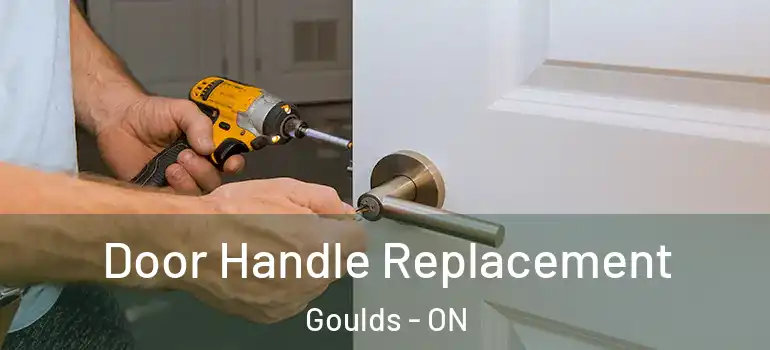 Door Handle Replacement Goulds - ON