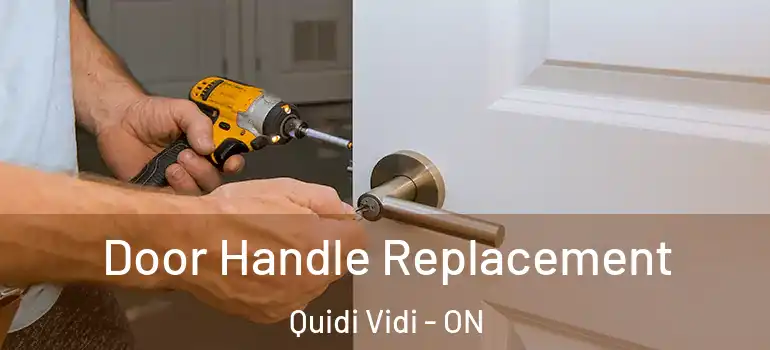  Door Handle Replacement Quidi Vidi - ON