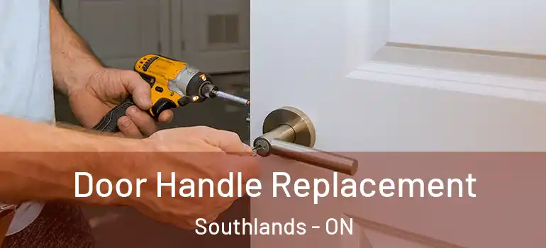  Door Handle Replacement Southlands - ON