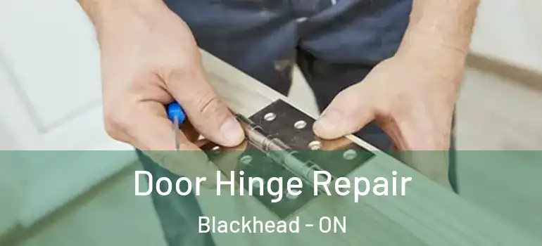 Door Hinge Repair Blackhead - ON