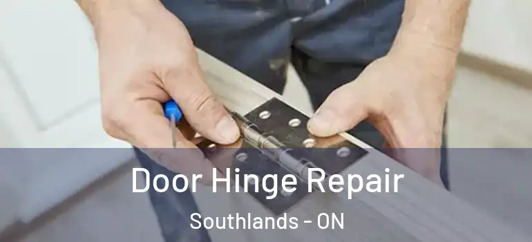 Door Hinge Repair Southlands - ON