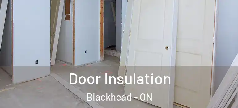 Door Insulation Blackhead - ON