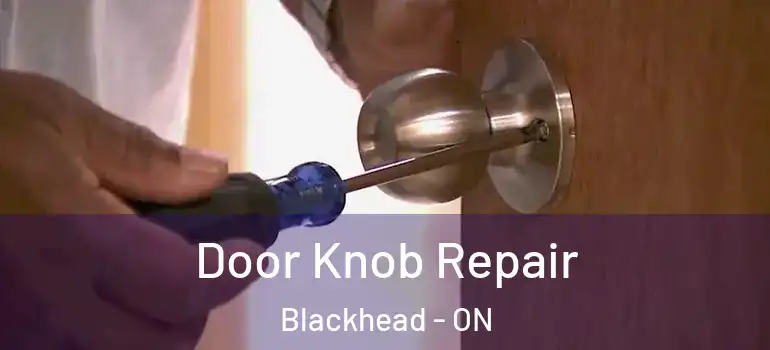 Door Knob Repair Blackhead - ON