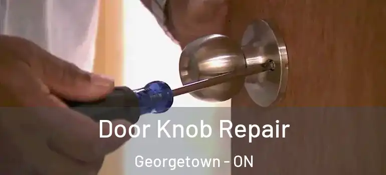  Door Knob Repair Georgetown - ON