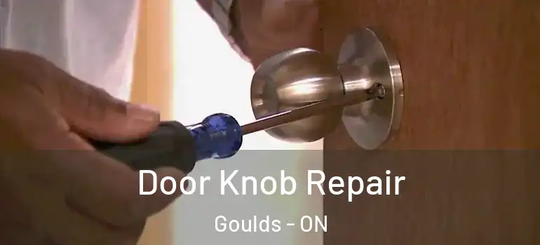 Door Knob Repair Goulds - ON